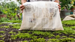 Fini le sulfate de fer sur la pelouse : cet objet du quotidien élimine la mousse sans abîmer le sol
