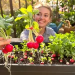 « Je savais que ça allait très vite » : ces variétés semées mi-avril se récoltent en moins d’un mois